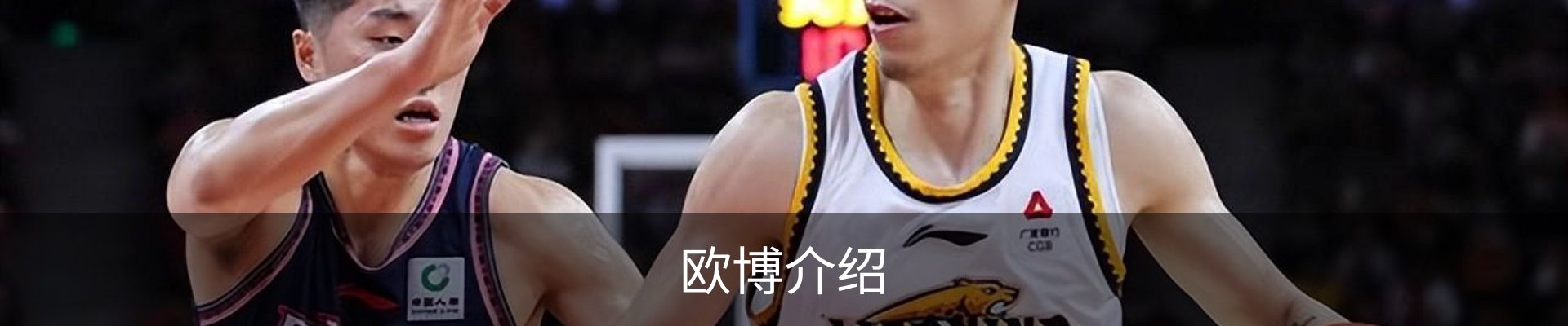 欧博介绍